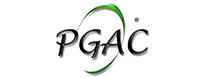 Permanent General Asurance Corporation Logo